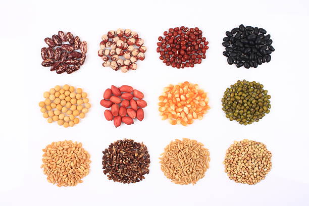 istock All kinds of grain 502969931