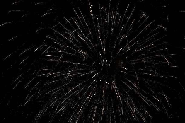 istock Brightly colorful fireworks in the night sky 502970878