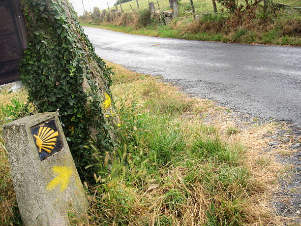 cammino di santiago di compostella e i pellegrini shell - fernando lugo foto e immagini stock