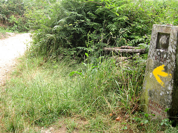 camino de santiago e freccia gialla - fernando lugo foto e immagini stock