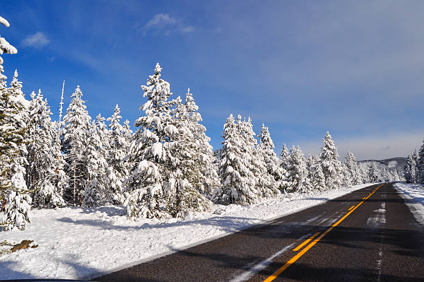 istock yellowstone in winter 502971537