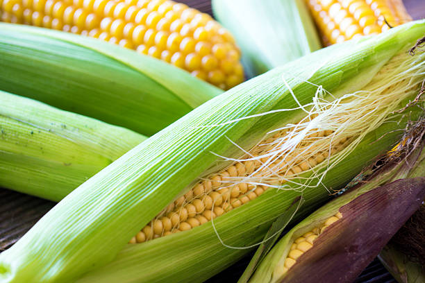 istock Fresh sweet corn on wooden background 502972290
