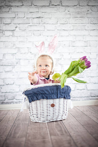 istock Adorable baby bunny 502972489