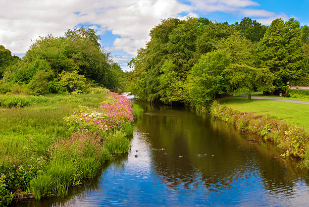 белый корзину воды в pollok страна парк, глазго, шотландия - country park стоковые фото и изображения