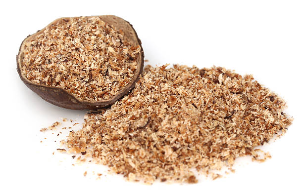 istock Nutmeg or Jaifal Spice 502974547