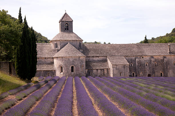 Abbey of Senanque with lavender flowers stock photo