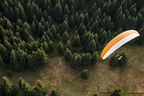 istock aerial view of paramotor flying over the forest 502975092