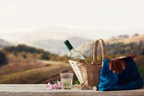 Picnic for one Person in a mediterranean Landscape