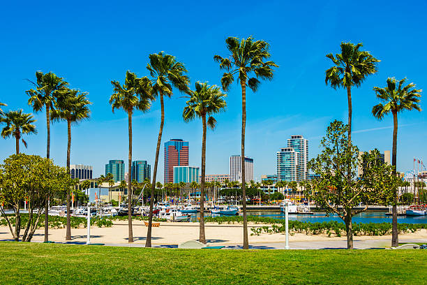 istock Long Beach Shoreline Aquatic Park, waterfront and skyline, California 502975341