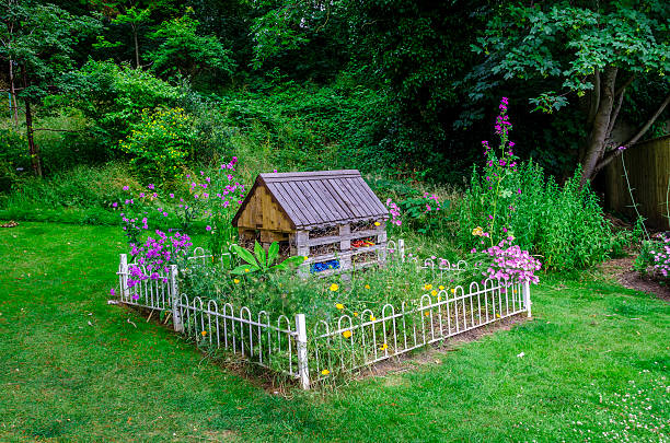 istock bug farm, in the park, colour image, 502975343