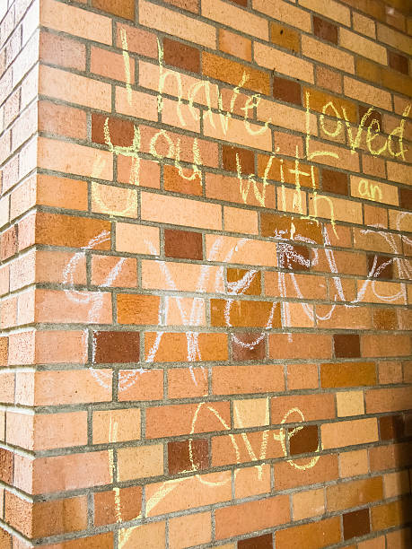 istock Declaration written across brick wall on college campus 502975593