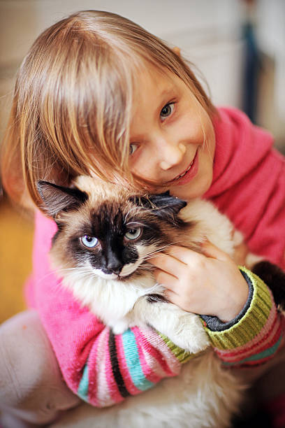 istock Plays a girl and with a cat 502976337