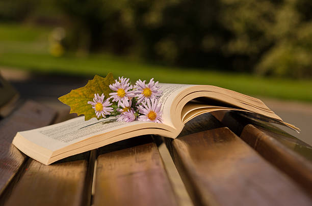 istock Open book with flowers on the bench 502976518