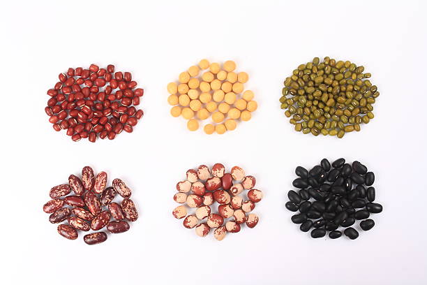 istock All kinds of grain 502977063
