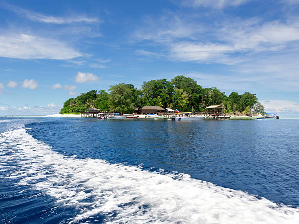 ilha de sipadan, sabah, malásia - sipadan island imagens e fotografias de stock