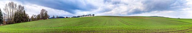 istock skyline of rural area in Thuringia, Bad Frankenhausen 502977802