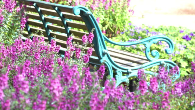 beautiful flowers garden with vintage bench