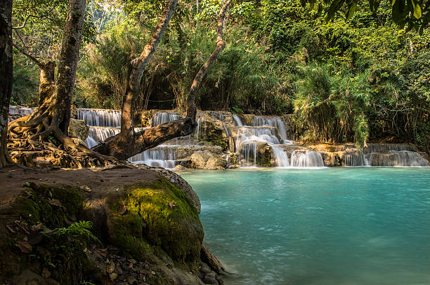 istock Kuang Si waterfall in Laos 502989398