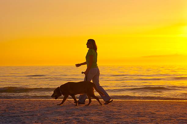 Woman with dog silhouette