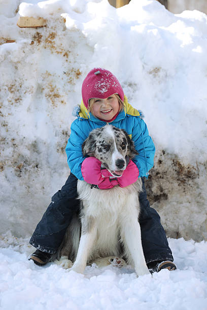 istock Girl playing with a Border Collie 502990875