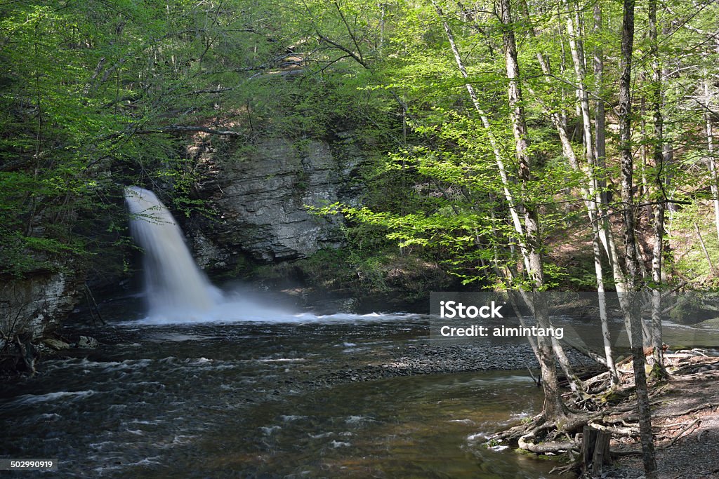 Deer Leap Falls Deer Leap Falls at George W. Childs Recreation Site, Delaware Water Gap National Recreation Area, Pennsylvania, USA Cliff Stock Photo