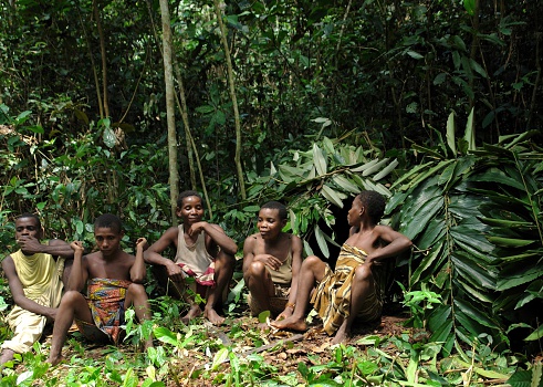 Dzanga-Sangha Forest Reserve, Central-African Republic (CAR), Africa, 2008 November 2:Jungle group Portrait of a women from a Baka tribe of pygmies.Dzanga-Sangha Forest Reserve,Central African Republic