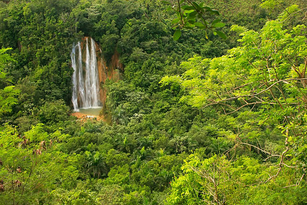 el limón cascata, repubblica dominicana - ferrovia sopraelevata foto e immagini stock