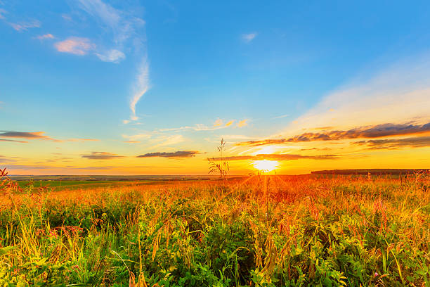 istock Meadow, evening sky and sunset 502992617