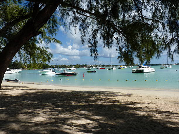 istock Beach Of Grand Baie 502992745