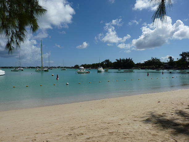 istock Beach Of Grand Baie 502992759