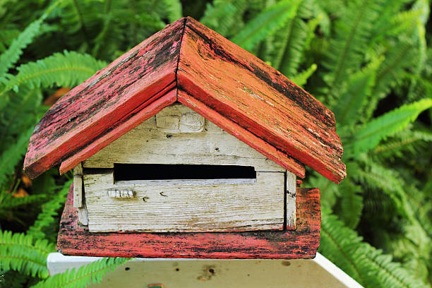 istock Mail box vintage style with green ferns. 502992783