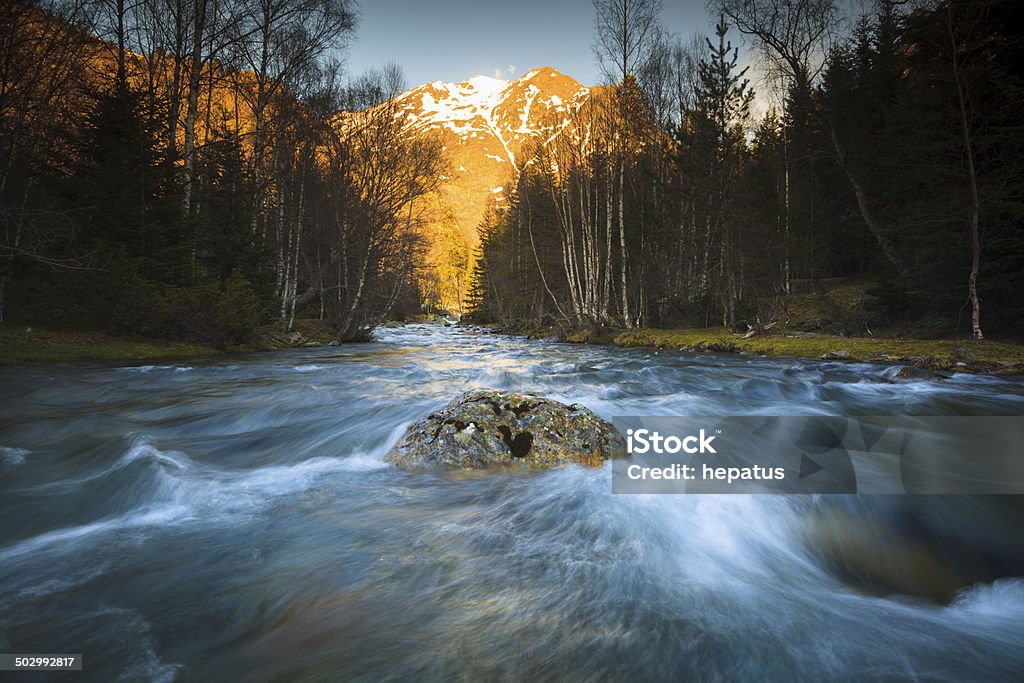 mountain and river Branch - Plant Part Stock Photo