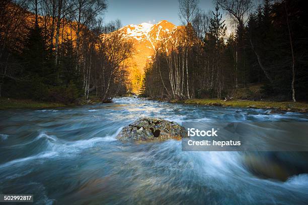 Mountain And River Stock Photo - Download Image Now - Branch - Plant Part, Pyrenees, River