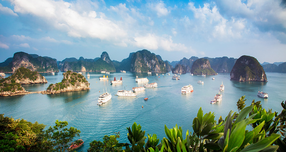 Halong Bay Vietnam panorama at sunset with anchored tourist ships photographed from the top of a cliff.