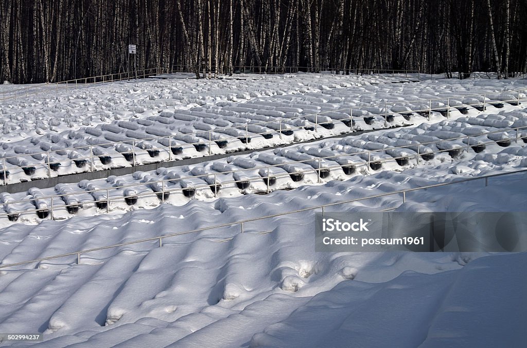 Théâtre d'été en hiver. - Photo de Arbre libre de droits