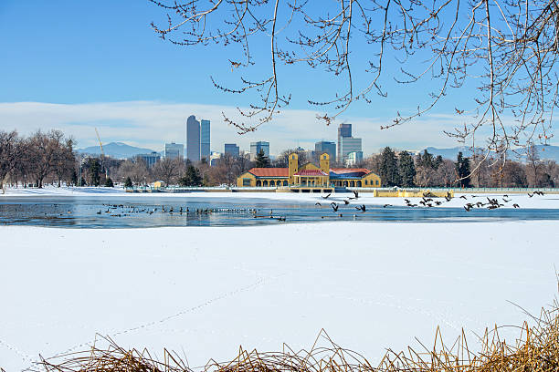 invierno lago en el centro de la ciudad de denver - sunny day sunlight seagull fotografías e imágenes de stock