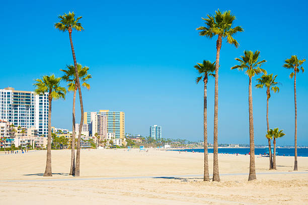 istock Long Beach California skyline, beach, palm trees 502994851