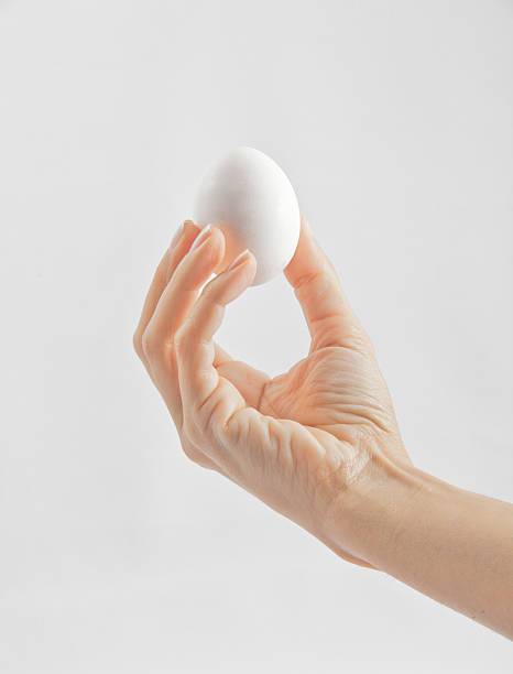 istock female hand holding an egg 502995567