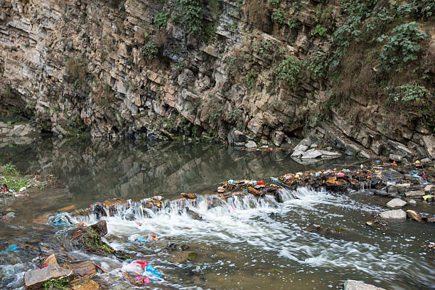 istock Garbage in the water of river. 502996045