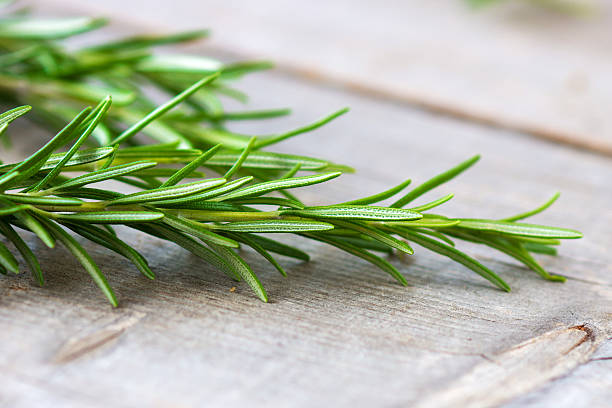 istock Rosemary on a wooden background 502996968