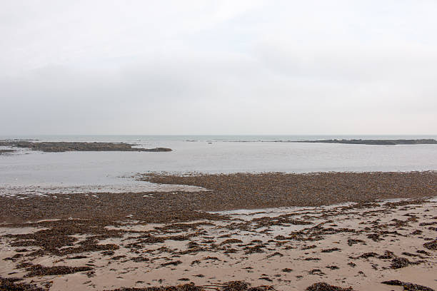 istock Scarborough North Bay 502997422