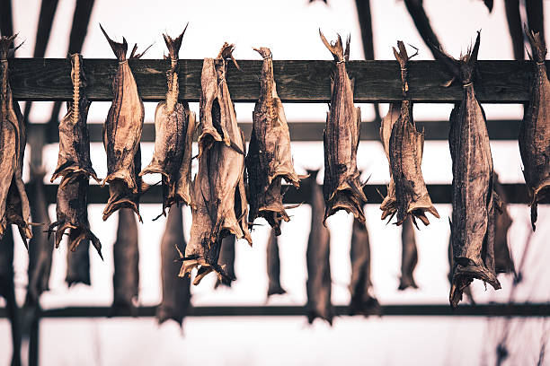 Northern traditionellen stockfish im Freien auf der Sonne trocknen. – Foto