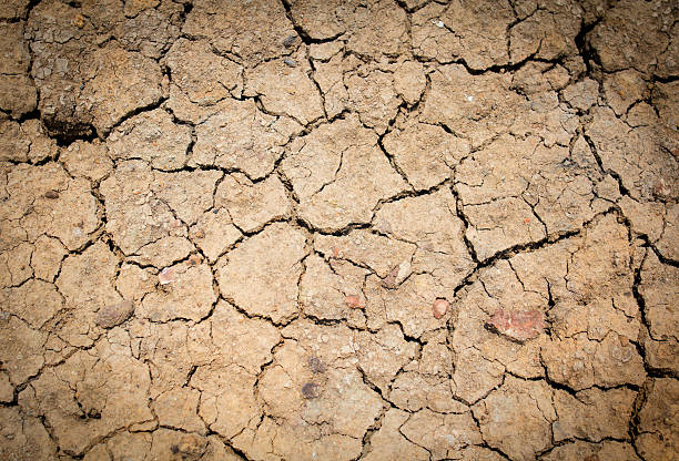 istock Closeup of dry soil. 502998377