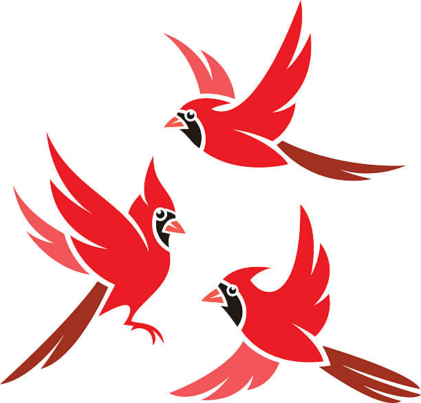 Stylized Birds Stylized Bird - Northern Cardinal northern cardinal stock illustrations