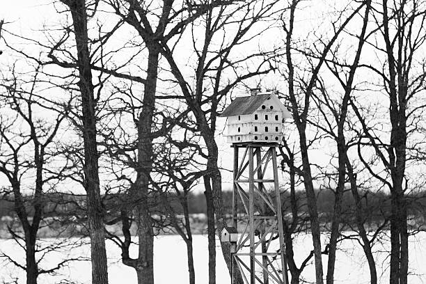 Purple Martin Birdhouse in winter.