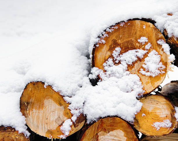 Snow-covered cut logs of wood with copy space.