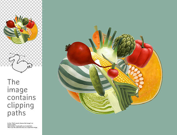 ilustrações de stock, clip art, desenhos animados e ícones de produtos hortícolas, dodo colecção - agriculture backgrounds cabbage close up