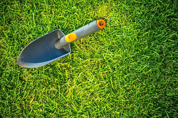 istock Garden Shovel on a Grass 503001602