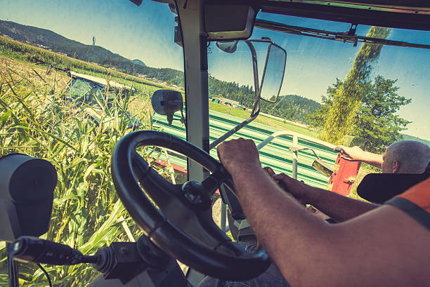 istock Inside view of a man driving a combine harvester 503003268