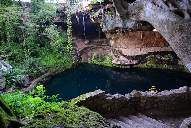 istock Cenote in Yucatan Mexico 503004140